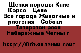 Щенки породы Кане-Корсо › Цена ­ 25 000 - Все города Животные и растения » Собаки   . Татарстан респ.,Набережные Челны г.